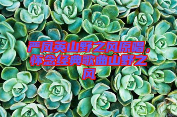 嚴(yán)鳳英山野之風(fēng)原唱，懷念經(jīng)典歌曲山野之風(fēng)