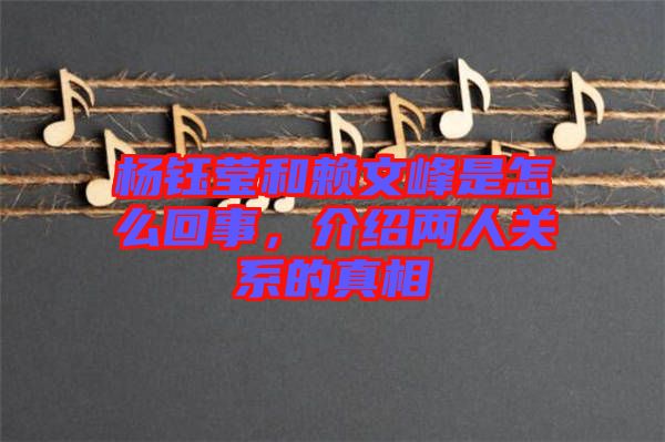 楊鈺瑩和賴文峰是怎么回事，介紹兩人關(guān)系的真相