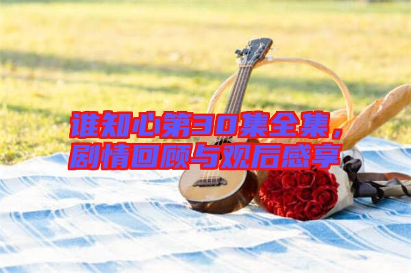 誰(shuí)知心第30集全集，劇情回顧與觀后感享