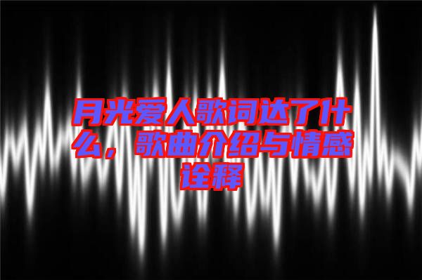 月光愛人歌詞達了什么，歌曲介紹與情感詮釋