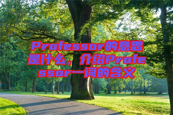 Professor的意思是什么，介紹Professor一詞的含義
