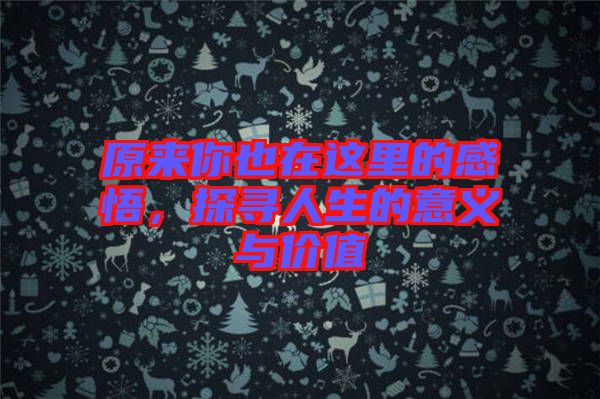 原來你也在這里的感悟，探尋人生的意義與價(jià)值