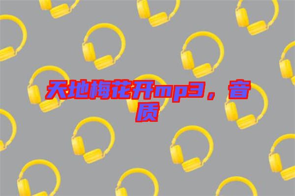 天地梅花開mp3，音質(zhì)