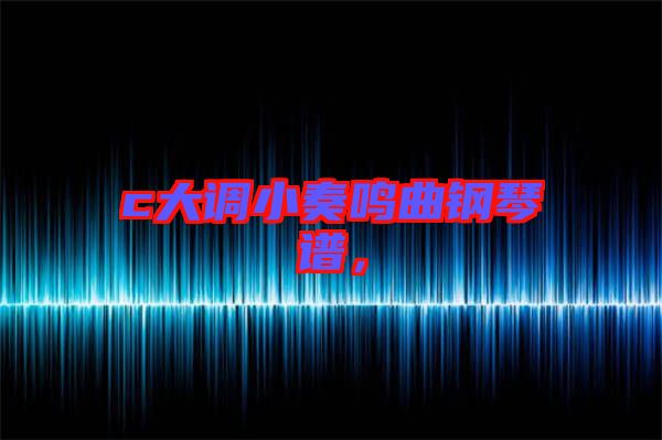 c大調(diào)小奏鳴曲鋼琴譜，
