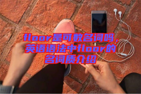 floor是可數(shù)名詞嗎，英語語法中floor的名詞質(zhì)介紹