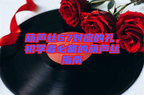 葫蘆絲67對應的孔，初學者必備的葫蘆絲指南