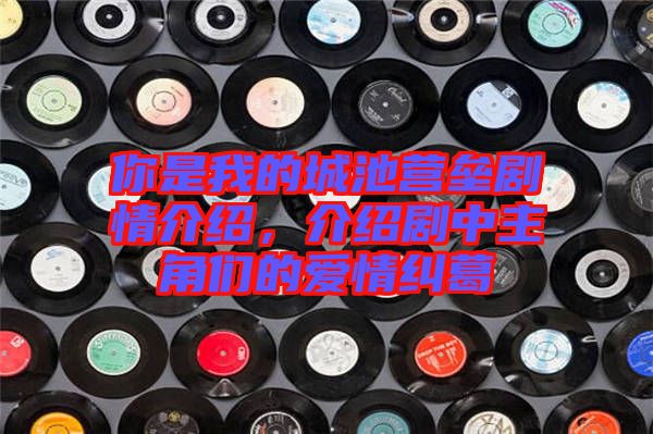 你是我的城池營壘劇情介紹，介紹劇中主角們的愛情糾葛