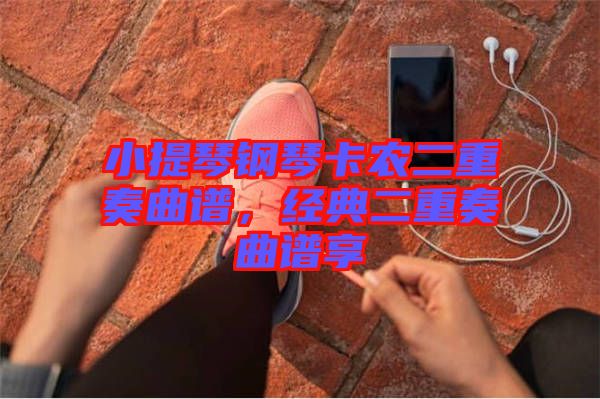 小提琴鋼琴卡農(nóng)二重奏曲譜，經(jīng)典二重奏曲譜享