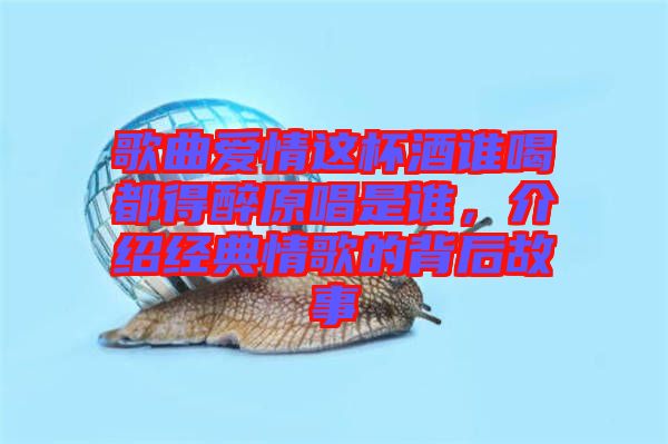 歌曲愛情這杯酒誰喝都得醉原唱是誰，介紹經(jīng)典情歌的背后故事