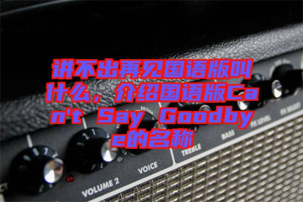 講不出再見國語版叫什么，介紹國語版Can't Say Goodbye的名稱