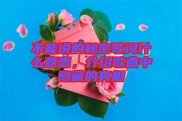 不能說的秘密歌詞什么意思，介紹歌曲中隱藏的真相