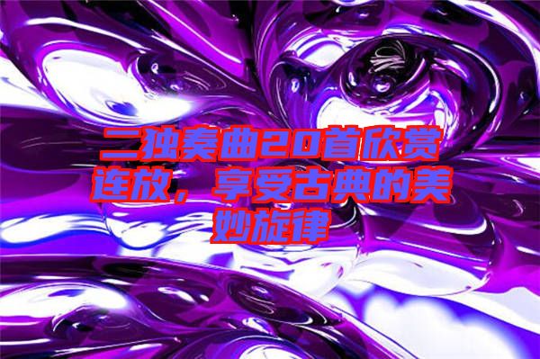 二獨(dú)奏曲20首欣賞連放，享受古典的美妙旋律