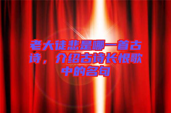老大徒悲是哪一首古詩(shī)，介紹古詩(shī)長(zhǎng)恨歌中的名句