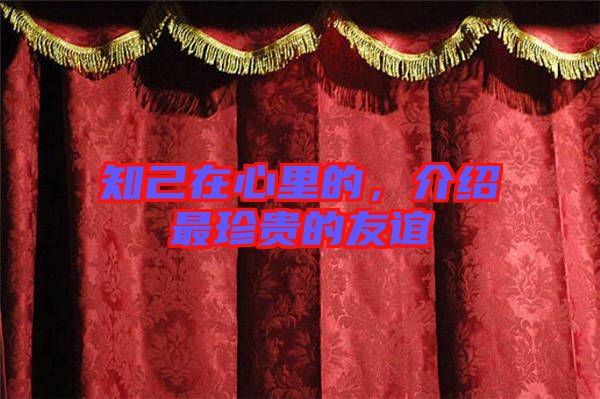 知己在心里的，介紹最珍貴的友誼