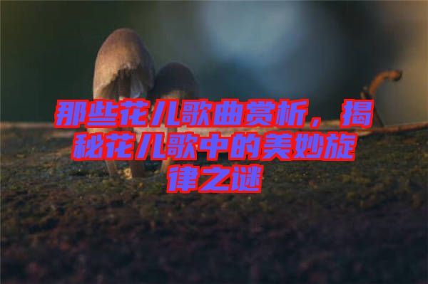 那些花兒歌曲賞析，揭秘花兒歌中的美妙旋律之謎