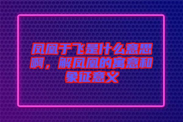 鳳凰于飛是什么意思啊，解鳳凰的寓意和象征意義