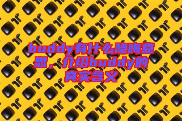 buddy有什么隱晦意思，介紹buddy的真實含義