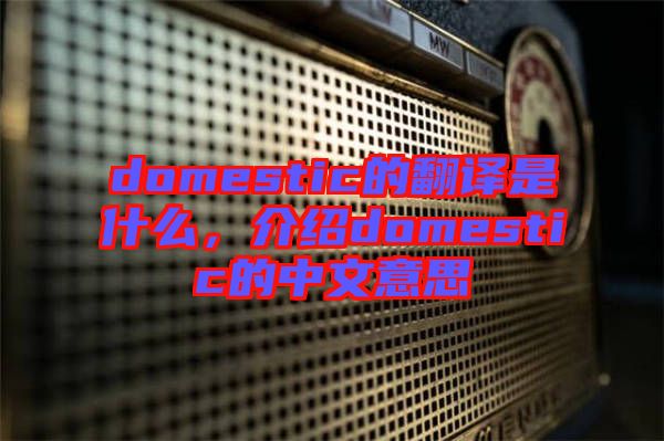 domestic的翻譯是什么，介紹domestic的中文意思