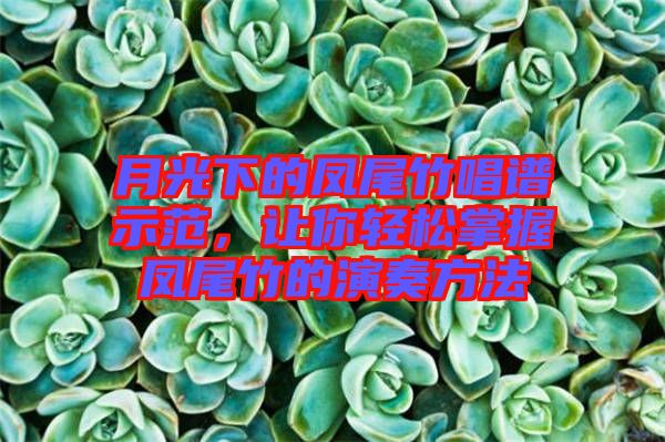 月光下的鳳尾竹唱譜示范，讓你輕松掌握鳳尾竹的演奏方法