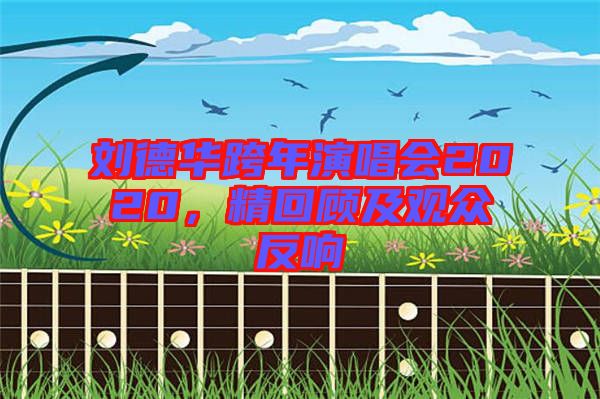 劉德華跨年演唱會(huì)2020，精回顧及觀眾反響