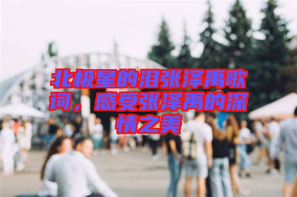 北極星的淚張澤禹歌詞，感受張澤禹的深情之美