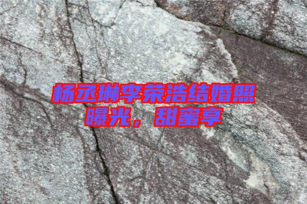 楊丞琳李榮浩結(jié)婚照曝光，甜蜜享