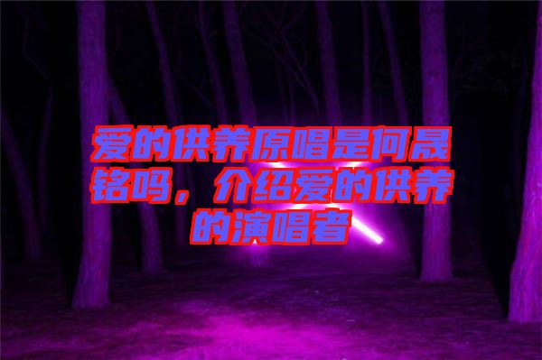 愛的供養(yǎng)原唱是何晟銘嗎，介紹愛的供養(yǎng)的演唱者