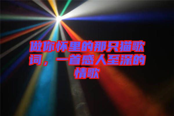 做你懷里的那只貓歌詞，一首感人至深的情歌