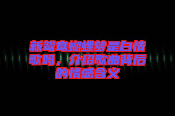 新鴛鴦蝴蝶夢是白情歌嗎，介紹歌曲背后的情感含義
