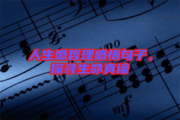 人生感哲理感悟句子，探尋生命真諦