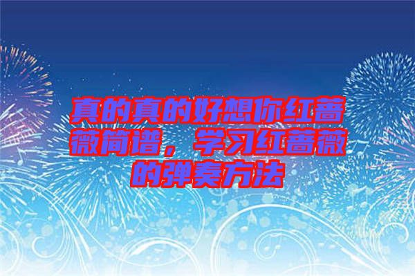 真的真的好想你紅薔薇簡(jiǎn)譜，學(xué)習(xí)紅薔薇的彈奏方法