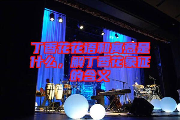 丁香花花語(yǔ)和寓意是什么，解丁香花象征的含義