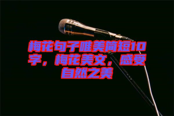梅花句子唯美簡(jiǎn)短10字，梅花美文，感受自然之美