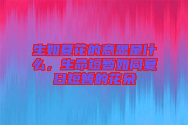 生如夏花的意思是什么，生命短暫如同夏日短暫的花朵