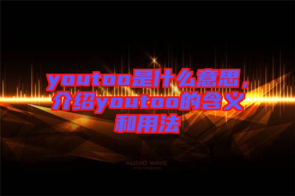 youtoo是什么意思，介紹youtoo的含義和用法
