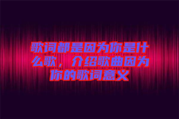 歌詞都是因?yàn)槟闶鞘裁锤?，介紹歌曲因?yàn)槟愕母柙~意義