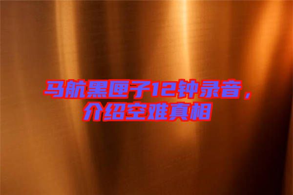 馬航黑匣子12鐘錄音，介紹空難真相