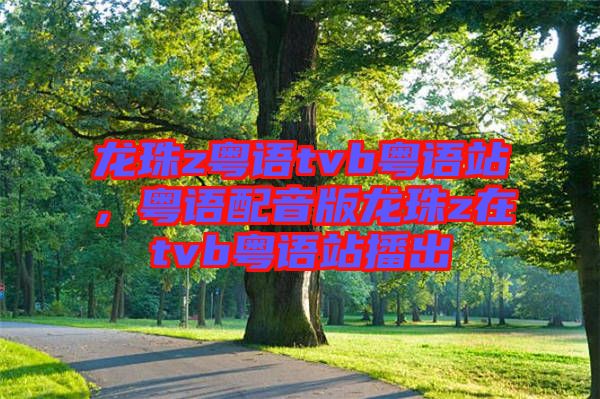 龍珠z粵語tvb粵語站，粵語配音版龍珠z在tvb粵語站播出