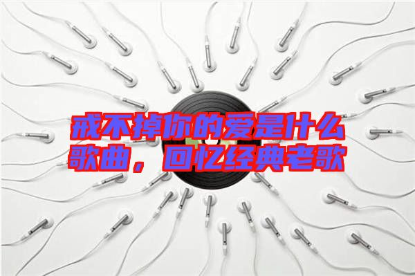 戒不掉你的愛是什么歌曲，回憶經(jīng)典老歌