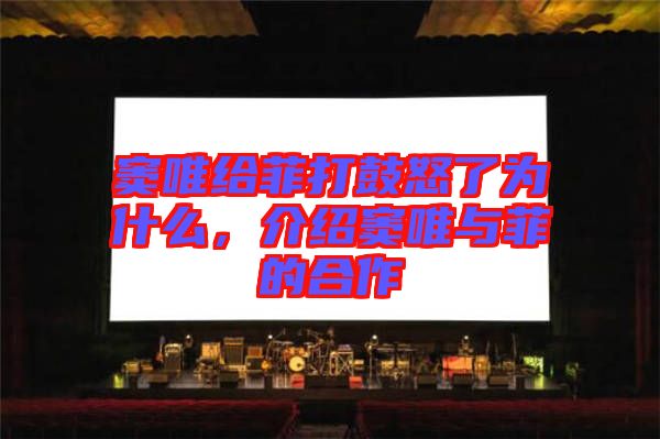 竇唯給菲打鼓怒了為什么，介紹竇唯與菲的合作