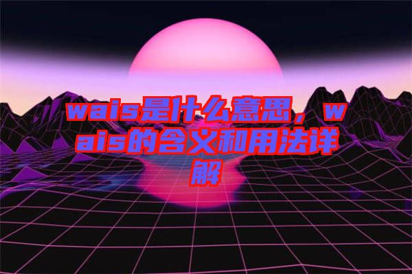 wais是什么意思，wais的含義和用法詳解