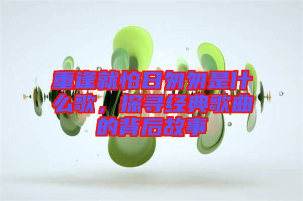 重逢就怕日匆匆是什么歌，探尋經(jīng)典歌曲的背后故事