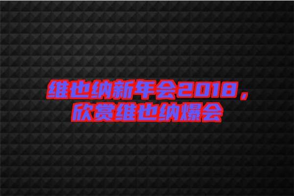 維也納新年會2018，欣賞維也納爆會