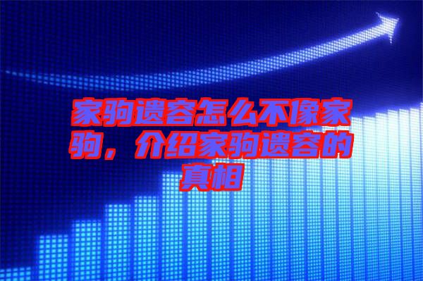 家駒遺容怎么不像家駒，介紹家駒遺容的真相