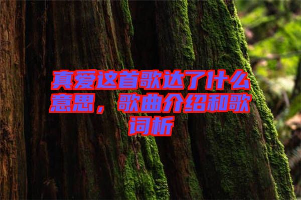 真愛(ài)這首歌達(dá)了什么意思，歌曲介紹和歌詞析