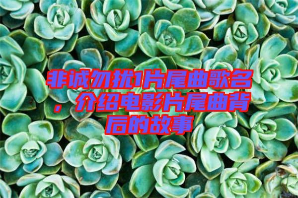 非誠勿擾1片尾曲歌名，介紹電影片尾曲背后的故事