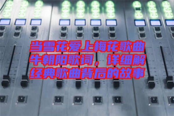當(dāng)雪花愛上梅花歌曲牛朝陽歌詞，詳細(xì)解經(jīng)典歌曲背后的故事