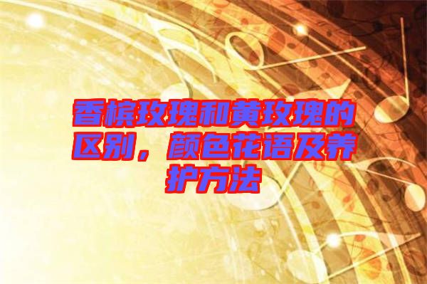 香檳玫瑰和黃玫瑰的區(qū)別，顏色花語(yǔ)及養(yǎng)護(hù)方法