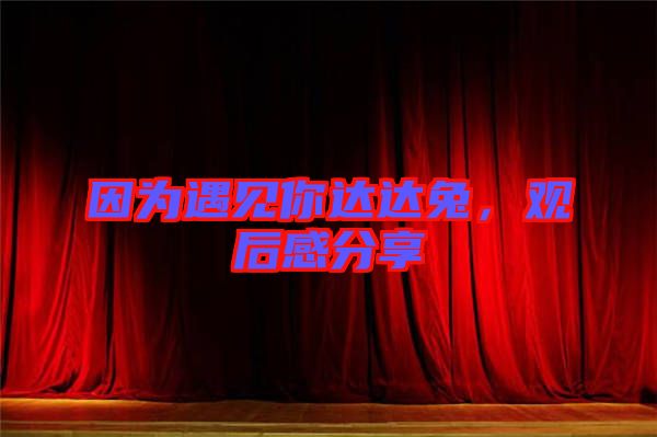 因為遇見你達達兔，觀后感分享