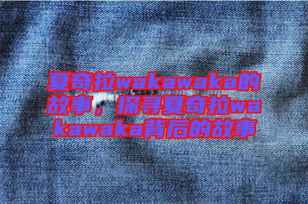 夏奇拉wakawaka的故事，探尋夏奇拉wakawaka背后的故事